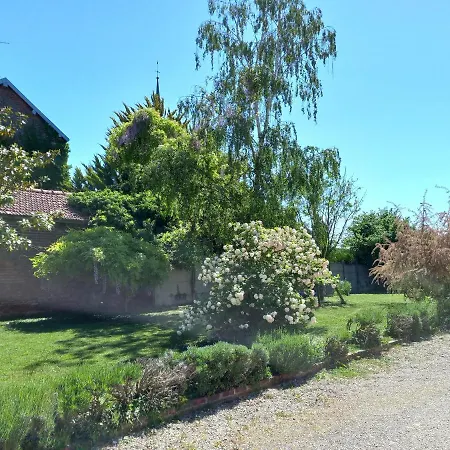 Apartament 